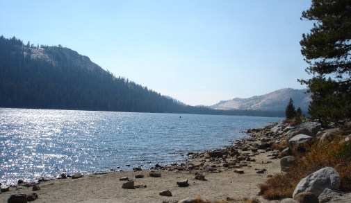 Yosemite NP 240.jpg